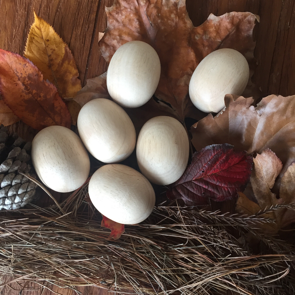 Natural Wooden Eggs Set