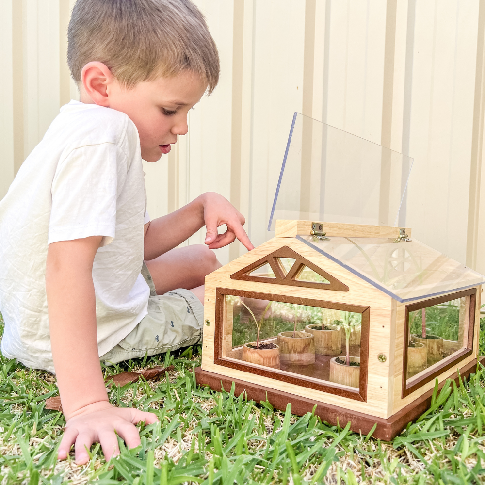 Wooden Greenhouse
