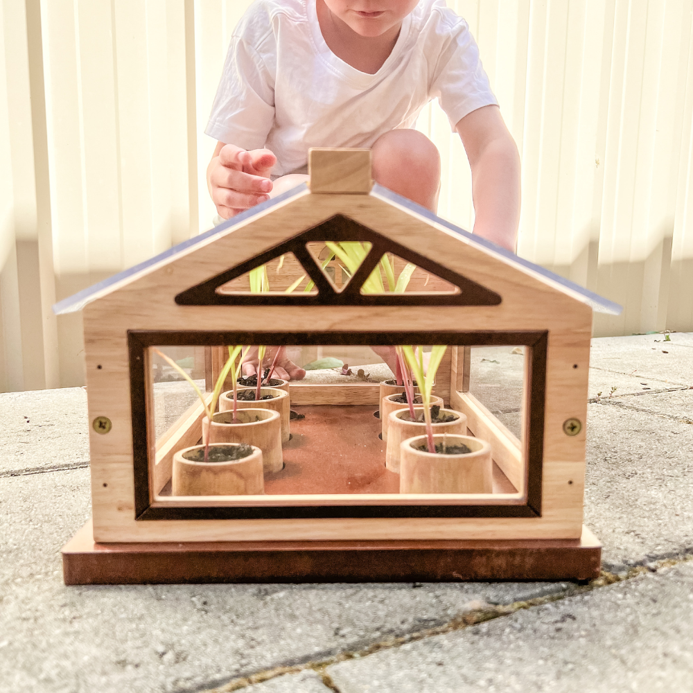 Wooden Greenhouse