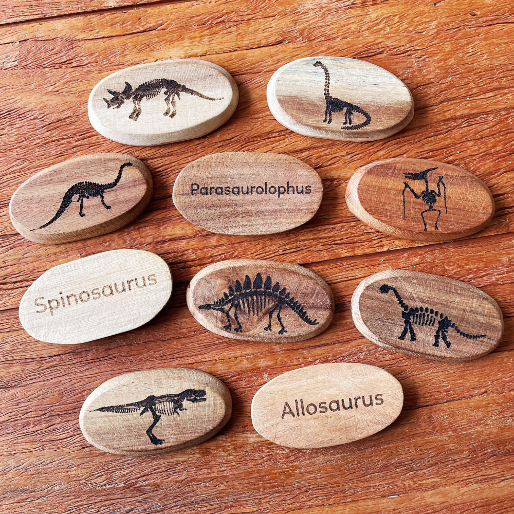 Wooden Dinosaur Stones