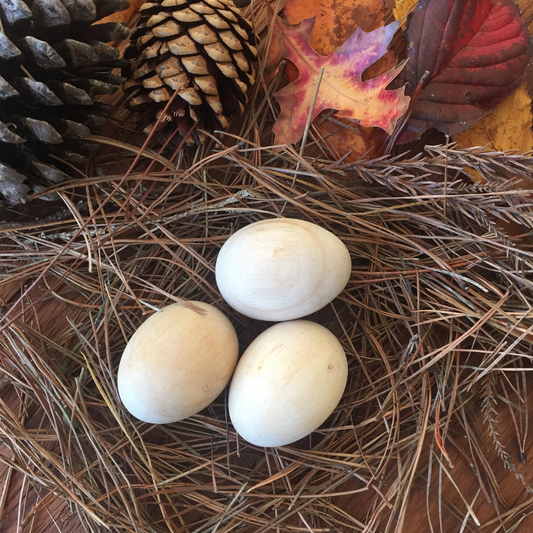 Natural Wooden Eggs Set