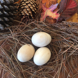 Natural Wooden Eggs