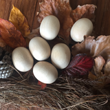 Natural Wooden Eggs