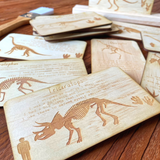 Dinosaur Dig Fossil Card Set