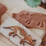 Dinosaur Fossil Stamps