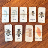 CLEARANCE 18 pc Honey Bee Lifecycle Matching Puzzle