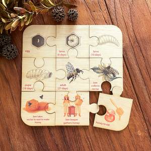 CLEARANCE 9 pc Honey Bee Lifecycle Puzzle