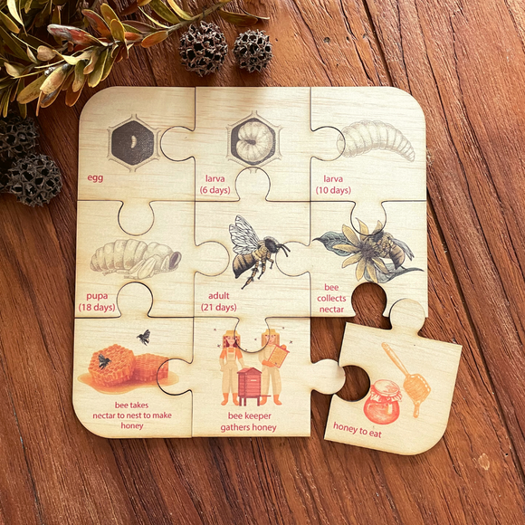 CLEARANCE 9 pc Honey Bee Lifecycle Puzzle