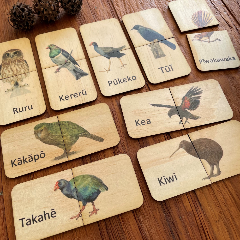 New Zealand Birds Matching Puzzle Set