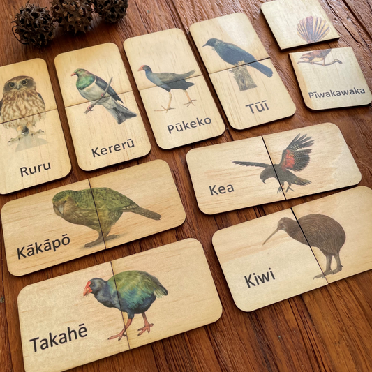 New Zealand Birds Matching Puzzle Set
