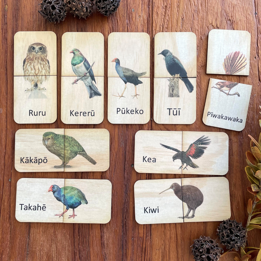 New Zealand Bird Match Wooden Toys & Puzzles Inquisitive by Nature