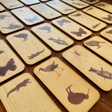 New Zealand Dominoes