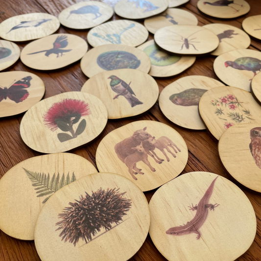 Wooden Magnets Set – New Zealand