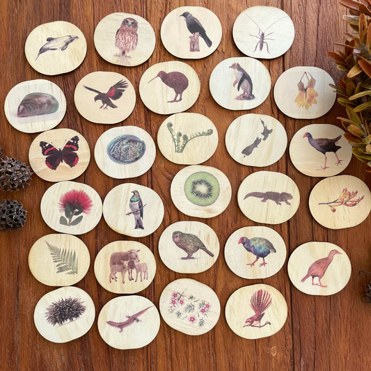 Wooden Magnets Set – New Zealand