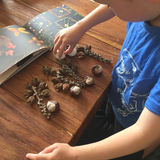 What if? Play inspired by nature - Natural Loose Parts Inspiration Book