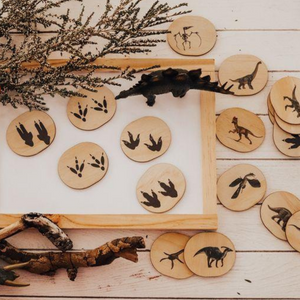 Wooden Magnets Set - Dinosaurs