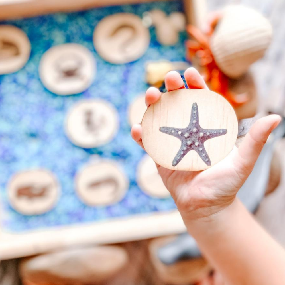 Wooden Magnets Set - Sea Life
