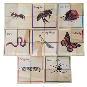 CLEARANCE Wooden Puzzle Set - Bugs