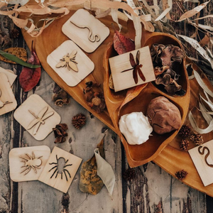 Wooden Stampers Set - Bugs